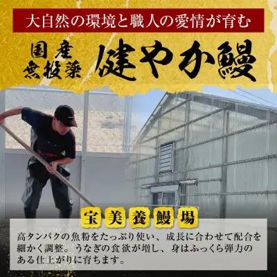 Z61-69 健やか鰻 国産うなぎ蒲焼（無頭）6尾（計930g以上） うなぎ