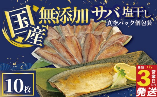 さば 干物 10枚 国産  サバ 塩干し 真空パック 個包装 焼くだけ 簡単調理 3営業日 以内 スピード発送 鯖 ギフト 贈答用 ひもの 惣菜 おかず 静岡 沼津