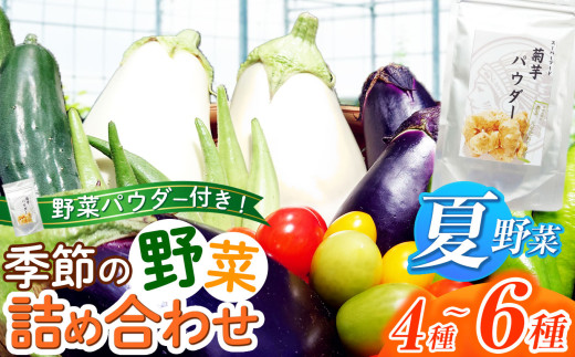 ★ 先行予約 ★＼ 夏野菜 ／ 季節の野菜 ＆ 野菜 パウダー 詰め合わせセット 農場おまかせ | アフリット 無農薬 有機自然農法 再生 野菜 やさい ミニトマト トマト 詰合せ セット 旬野菜 採れたて 新鮮 ユニーク野菜 オススメ 千葉県 君津市 きみつ