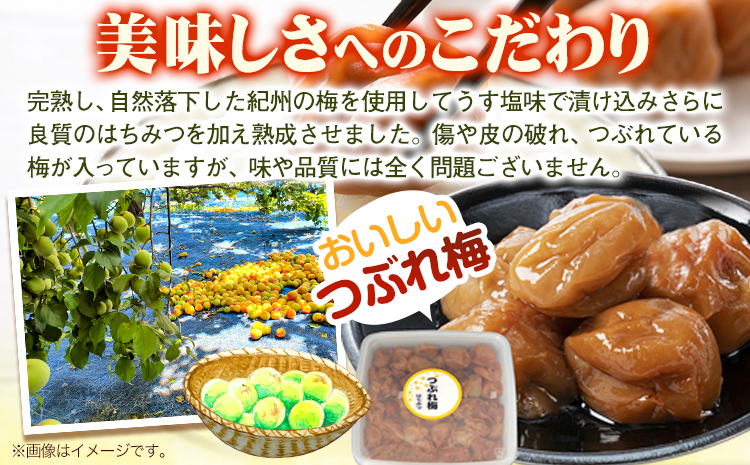 《加工食品カテゴリ上位ランクイン！》南高梅 はちみつ 梅 紀州南高梅 つぶれ 梅干し 2kg 有限会社プラム《30日以内に出荷予定(土日祝除く)》和歌山県 日高町 送料無料 梅 うめ ウメ 南高梅 つ