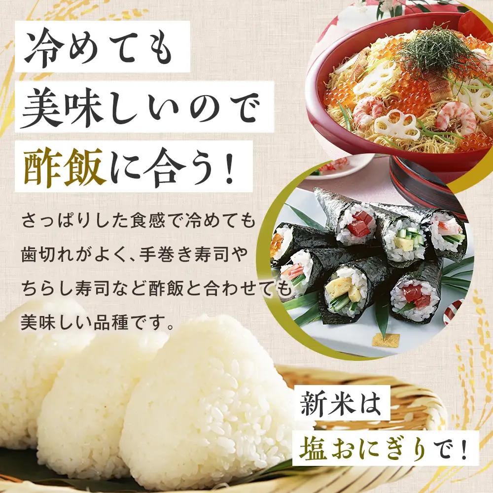【令和8年産・早期予約受付】北海道産 津別町あっぱれ米（玄米）10kg | 米 お米 新米 玄米 国産米 農家直送 産地直送 北海道 津別町 送料無料