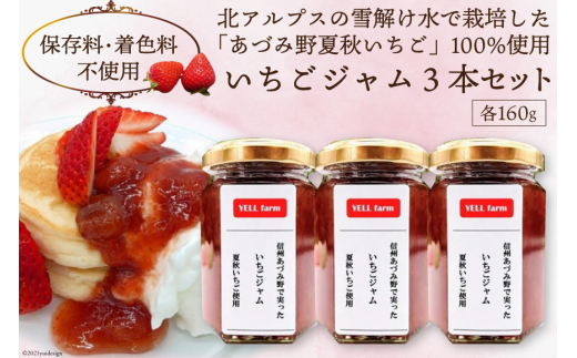 信州あづみ野産 夏秋 いちごジャム 160g×3本 [安曇野ベジタブル 長野県 池田町 48110446] イチゴジャム いちご 苺 イチゴ フルーツ ジャム 国産 手作り 自家製