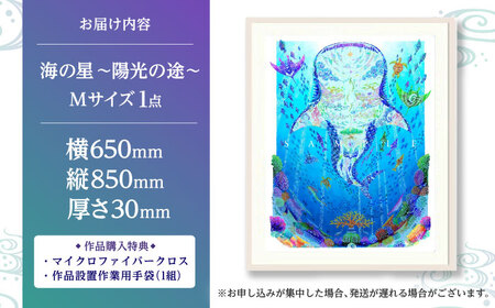 インテリア ［琉球イラストレーション］ 与儀勝之 『海の星 陽光の途 / Star of the Sea - Sunlight path -』 額装Mサイズ  BCAI019 アート