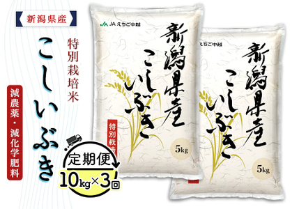 75-8K103【3ヶ月連続お届け】新潟県長岡産特別栽培米こしいぶき10kg（5kg×2袋）【2026年9月発送開始】
