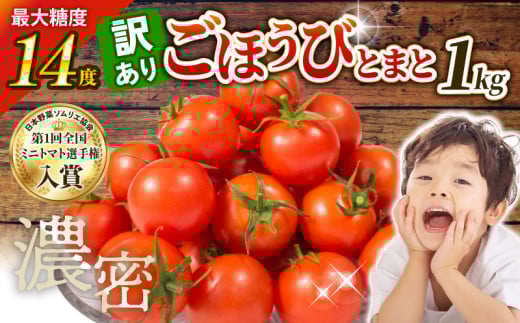 訳あり トマト 高糖度 甘い 1kg フルーツトマト ミニトマト 野菜 果物 濃厚 産地直送 とれたて 徳用 大きさ不揃い ごほうびとまと 株式会社風の子ファーム 埼玉県 羽生市