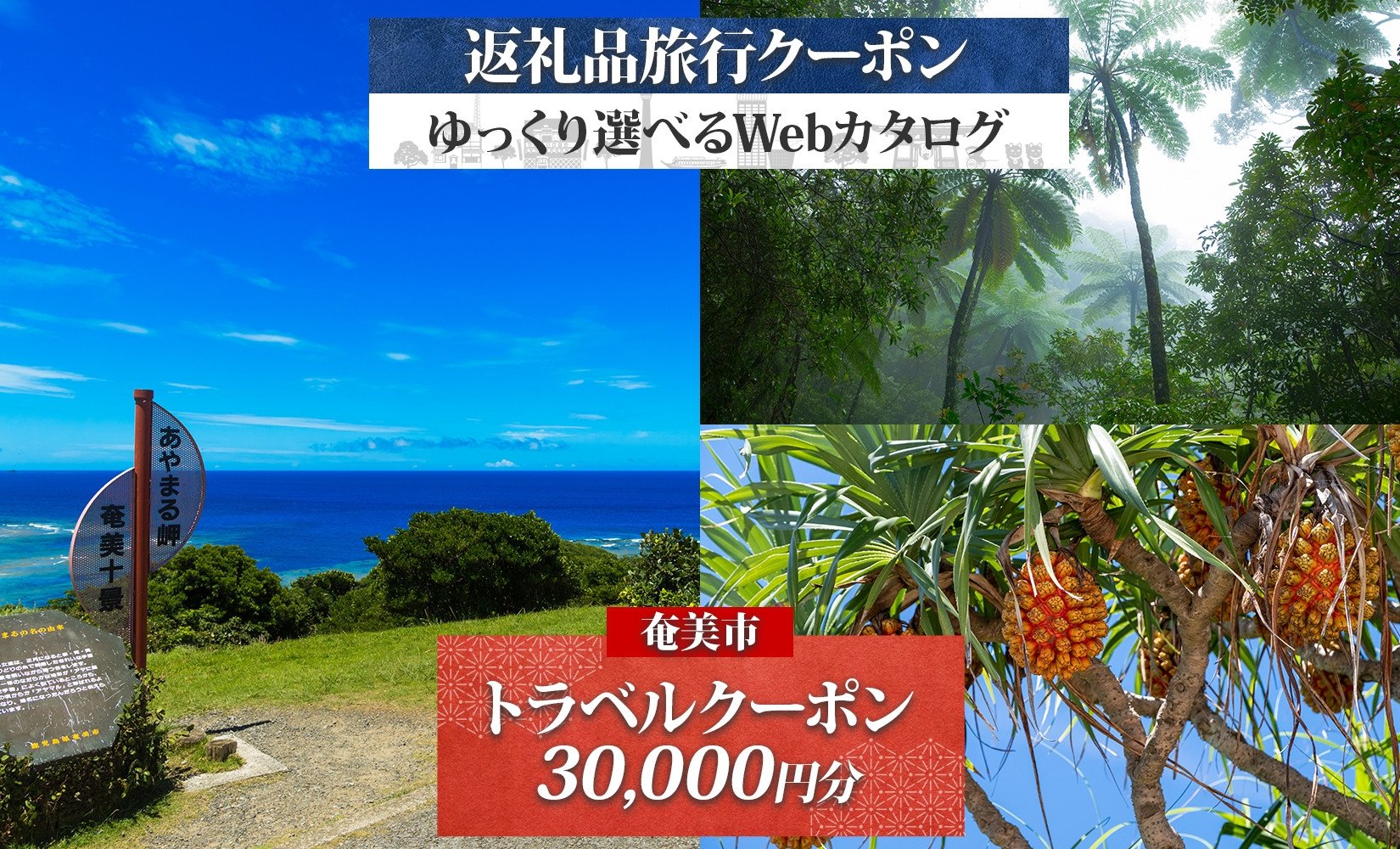
            鹿児島県奄美市の対象施設で使えるJTA旅行クーポン（30,000円分）　A188-001
          