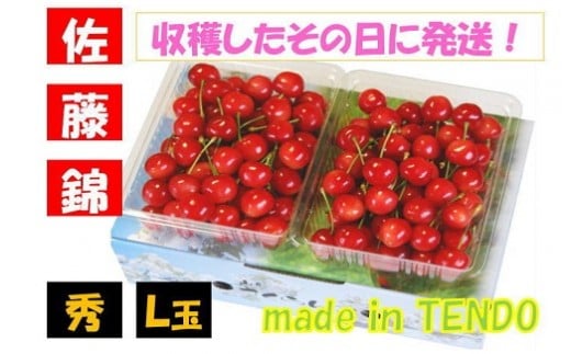 08-02-015　さくらんぼ(佐藤錦)700g