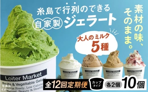 【全12回定期便】行列のできる アイスクリーム 屋 ジェラート 10個 （大人味5種×各2個） アイス 食べ比べ ギフト スイーツ プレゼント 糸島 / LoiterMarket ロイターマーケット [AGD022]