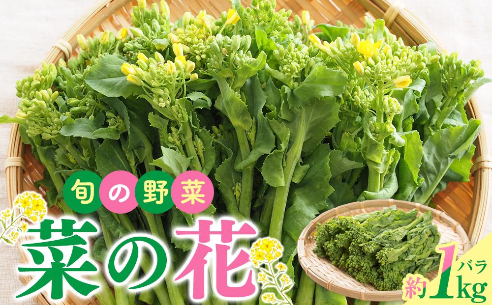 旬の野菜 菜の花バラ 約1kg【2025-12月上旬～2026-3月下旬配送】 372013_T006-277J