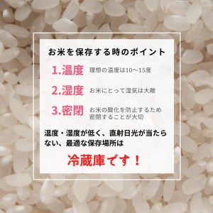 京都丹波米 コシヒカリ 2kg×3袋 計6kg◇ 米 白米