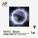 【ふるさと納税】 【山形緞通×佐藤可士和】TAIYO - Black (L) [oc-lstyl-black]