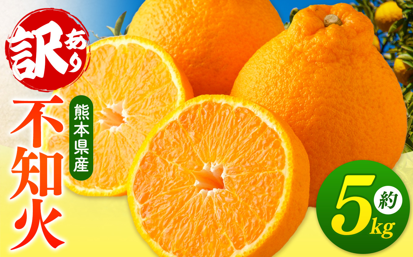 【 ご家庭用 訳あり 】 不知火 5kg （ デコポン と同品種 ） 柑橘 みかん フルーツ 訳あり でこみかん 果物 熊本県産 生産量全国一位