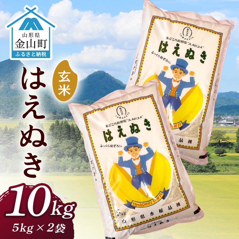 【ふるさと納税】 令和7年産 金山産米 はえぬき【玄米】（5kg×2袋） 計10kg 米 お米 ご飯 玄米 ブランド米 送料無料 東北 山形 金山町 F4B-0676