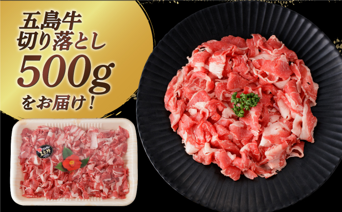 【幻の和牛を様々なお料理で！】 五島牛 切り落とし 約500g 3～4人前 肉 牛肉 【カミティバリュー】 [RBP073]