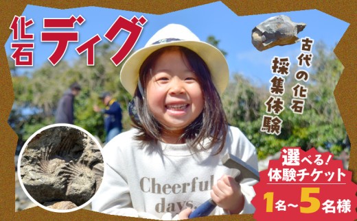 
                  S174-001-sku_化石ディグ利用券
                