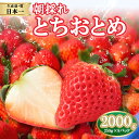 【ふるさと納税】【先行予約】朝採れ のいちご とちおとめ 2000g | 朝摘み とちおとめ いちご 苺 イチゴ ストロベリー 大きい 美味しい 果汁 甘い あまい 250g×8パック 人気 栃木県 真岡市 旬 送料無料