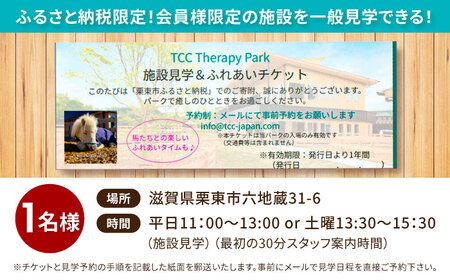 TCCセラピーパーク施設見学＆ ふれあい チケット (1名様分) 馬 ホース ウマ 体験 セラピー