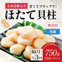 【ふるさと納税】【全3回（隔月）】網走前浜産 無添加ホタテ貝柱750g（250g×3袋）【 ホタテ ほたて 帆立 貝柱 ホタテ貝柱 ほたて貝柱 帆立貝柱 刺身 刺身ホタテ 刺身帆立 緊急支援 支援 生産者支援 魚介 小分け 天然 750g 250g 3パック 北海道 網走市 送料無料 】 ABAI034