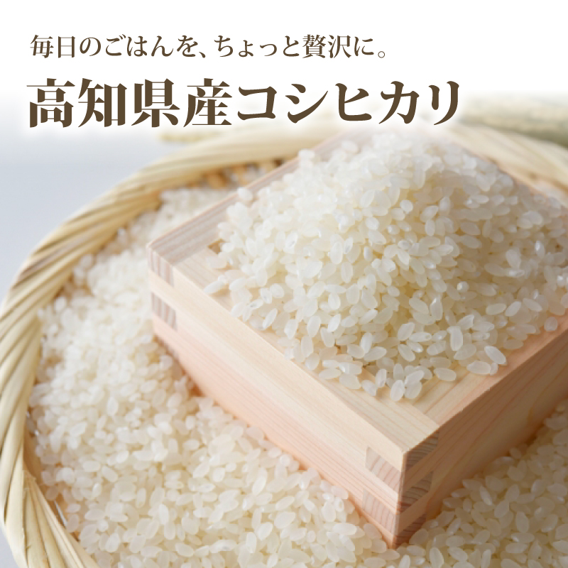 白米 コシヒカリ 5キロ 5kg 数量限定 米 コメ お米 ご飯 おにぎり こめ 令和8年度 農家直送 産地直送 ふるさと納税  高知県 南国市