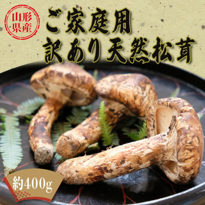 【ふるさと納税】【2026年発送】山形県産ご家庭用訳あり天然松茸（まつたけ）約400g_H204(R8)