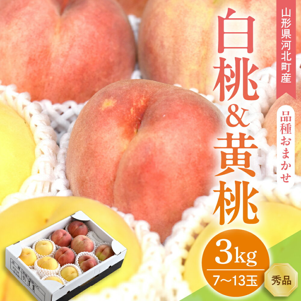 【ふるさと納税】 白桃 黄桃 3kg ( 7～13玉前後 ) ギフト用 品種おまかせ 山形県河北町産【山形eLab】/ 桃 モモ もも フルーツ 果物 くだもの お取り寄せ グルメ 産地直送 山形県 河北町