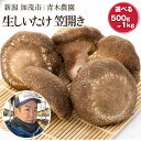 【ふるさと納税】 生しいたけ 並サイズ（笠開き）「約500g」or「約1kg」 《10月中旬から順次発送》品評会で金賞受賞！ きのこ しいたけ 椎茸 特大 食べ応えある大きさ 肉厚で旨味たっぷり！ 加茂市 青木農園