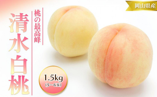 
                  桃 2026年  清水 白桃 1.5kg 5～6玉 もも モモ 岡山 国産 フルーツ 果物 ギフト 桃茂実苑
                