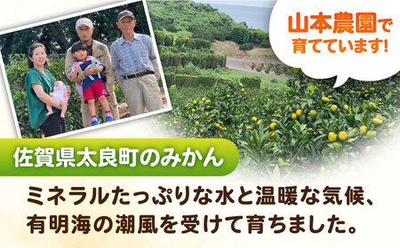 ★小玉★早熟みかん 計3kg（2.6kg＋400g傷み保証分） / 佐賀県 / 山本農園 [41ATBT005]