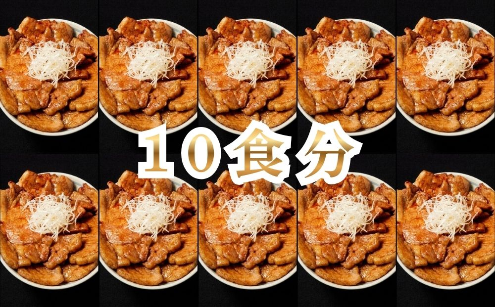 【2027年8月配送】十勝名物 豚丼の具 甘辛しょうゆ 110g×10p ホクレン
