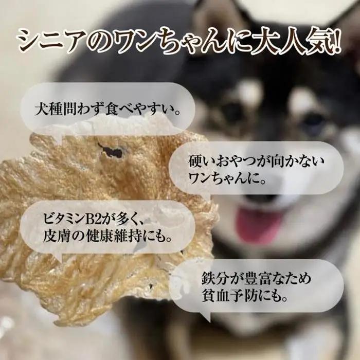 福岡市【無添加 犬のおやつ】ギフトに最適！合鴨せんべい（20g×5袋セット） | 食品 加工食品 人気 おすすめ 送料無料
