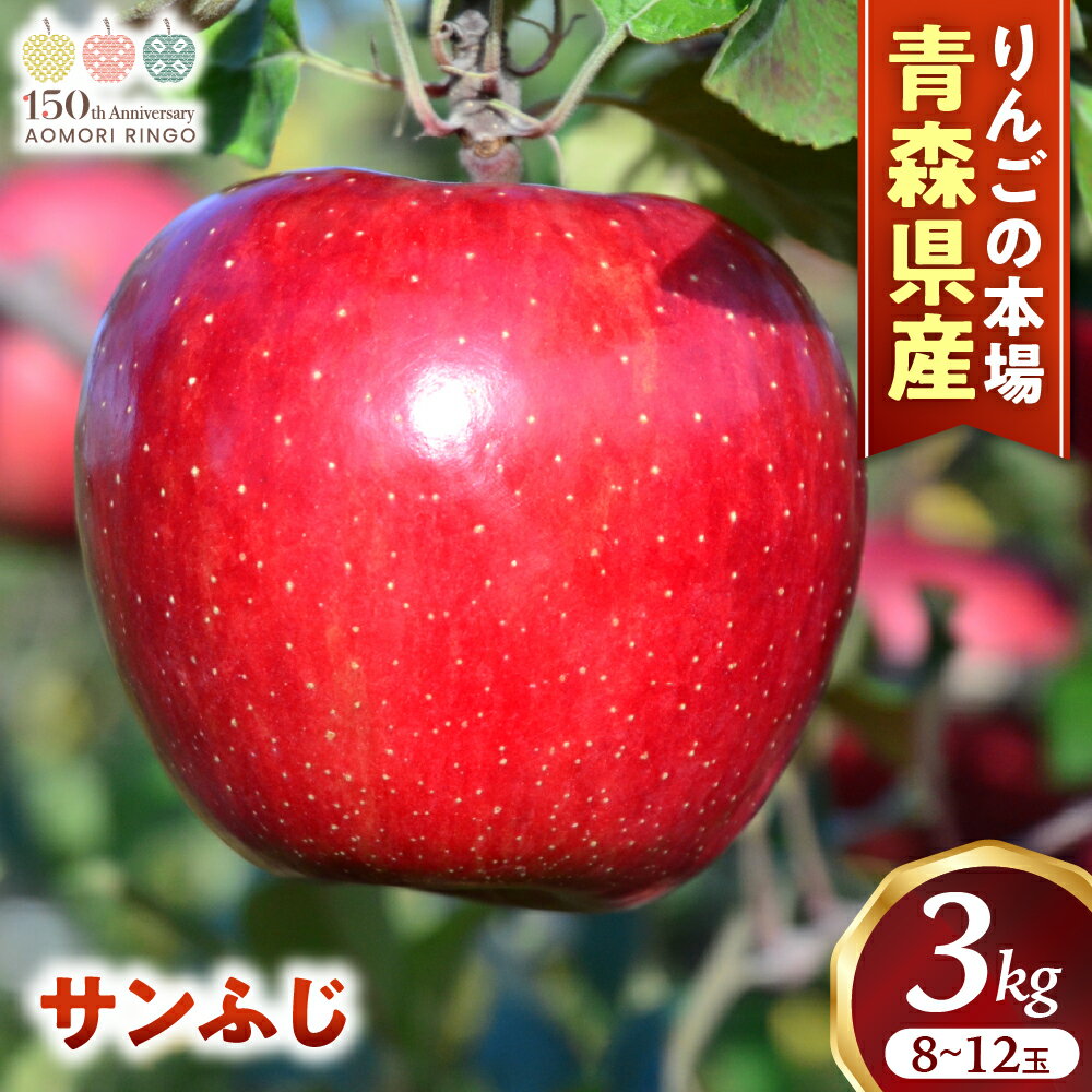 【ふるさと納税】人気No.1 青森りんご サンふじ 8〜12玉 約3kg【2025年産 先行予約 | 12月中旬〜2026年1月中旬以降に順次発送予定】 りんご 林檎 フルーツ 果物 果実 青森県産 三戸 三戸町 高級 贈答 ギフト プレゼント 産地直送 農家直送 青森県三戸町 R0608