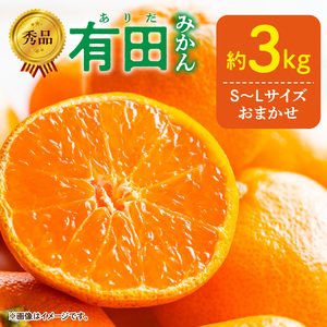 【2026年11月発送】秀品 有田みかん 和歌山県産 S～Lサイズ 大きさお任せ 約3kg_DZ6009n_11