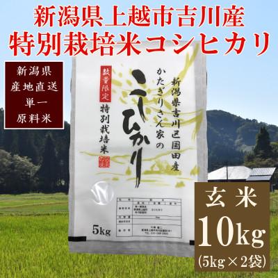 ふるさと納税 上越市 ★数量限定★令和7年産・新潟県上越市吉川区国田産・特別栽培米コシヒカリ玄米10kg