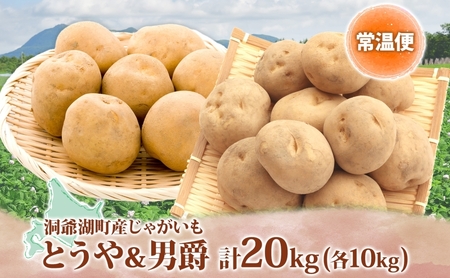 【ふるなびWEEK対象】じゃがいも2種セット 計20kg とうや 男爵 2025年9月上旬～12月中旬までお届け FN-Limited ジャガイモ 芋 甘い ホクホク ポテト カレー 調理 料理 煮込