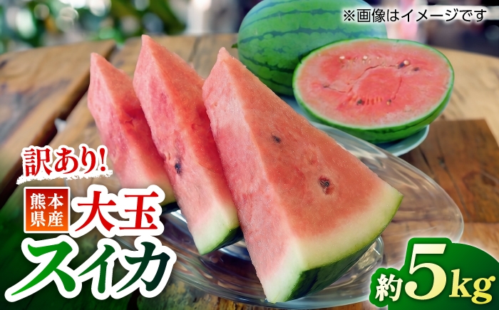 
                  【訳あり】 大玉スイカ 約5kg (1玉) すいか 大玉 フルーツ 果物 山鹿市 【くまふる】 [ZBG093]
                