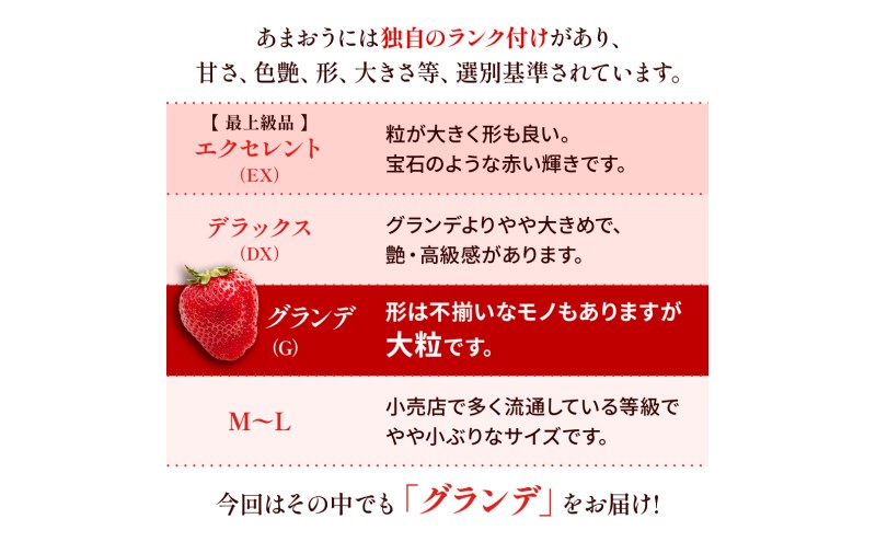 苺 福岡県産 あまおう 1500g（6パック） 先行予約 発送予定：