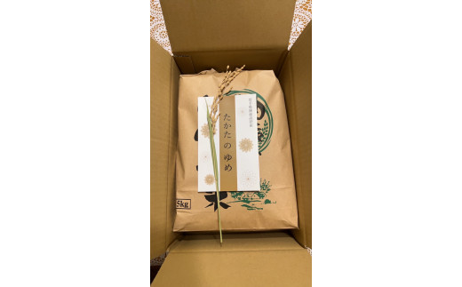 令和7年産 たかたのゆめ 玄米 20kg まーちゃんファーム 【 オリジナル ブランド米 冷めてもおいしい お弁当 おにぎり ギフト 】 RT2666