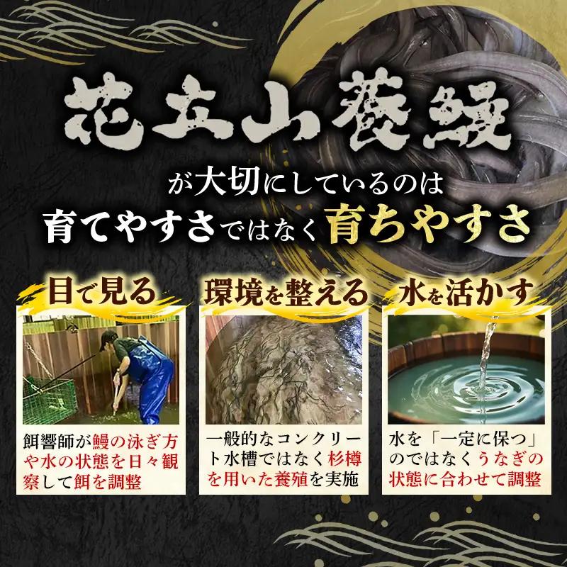 国産 うなぎ 白焼き（鹿児島県産） 2尾 (290〜310g) 【国産100％ 鰻 ウナギ 白焼 土用丑の日 丑の日 冷凍 魚介 海鮮 おかず お祝い ご褒美 贅沢 おすすめ 人気 花立山養鰻 福岡県