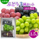 【ふるさと納税】山形市産 ぶどう3種セット 秀 約1.5kg[10月発送] 【令和7年産先行予約】FS24-812