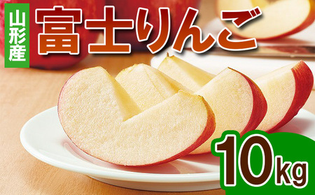 富士りんご(無袋)  秀 10kg(24玉～40玉)  FZ26-893