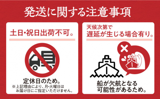 【全12回定期便】するめ いか 一夜干し セット《対馬市》【対馬地域商社】九州 長崎 海鮮 [WAC026]冷凍 新鮮 簡単調理 肉厚 スルメイカ いか 小分け 天ぷら 炒め物 おつまみ 個包装 贈り