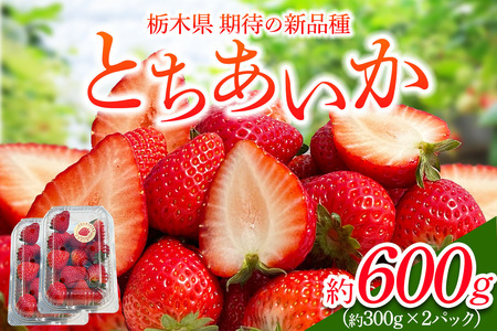 [先行予約]「とちあいか 2パック」計約600g  可愛いハート形 [2026年1月中旬から順次発送]｜とちあいか いちご イチゴ 苺 果物 フルーツ 日光産 栃木県産 期間限定 数量限定 [0674]