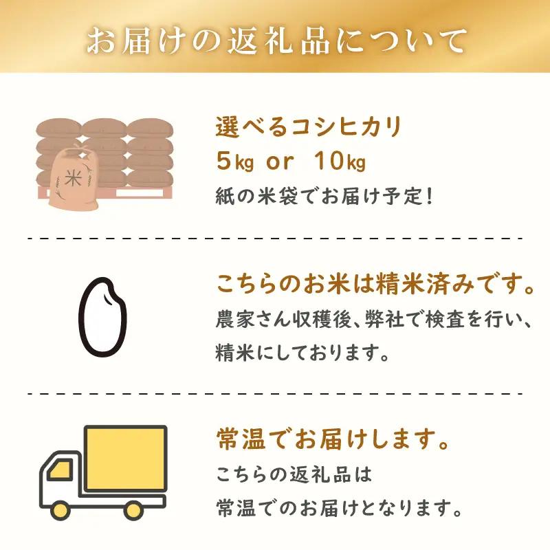 【事前受付】 コシヒカリ 米 10kg 令和8年度産 精米 国産 お米  静岡県 牧之原市 タタラ商店