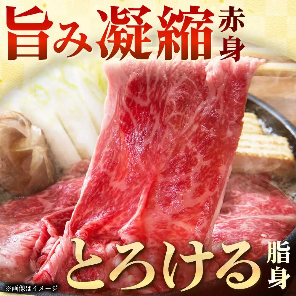 長崎和牛モモスライス約500g【黒牛】[QBD072]