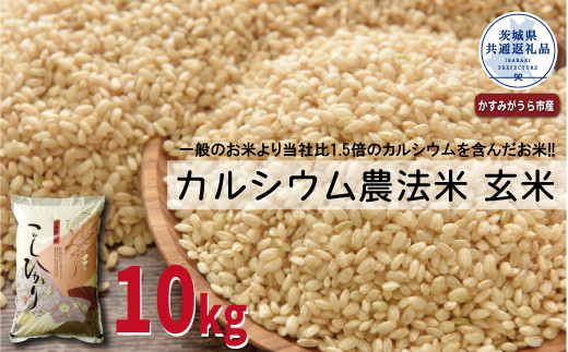 カルシウム農法米 玄米10kg 茨城県共通返礼品 かすみがうら市産 米 玄米 カルシウム米 10kg 茨城県産 共通返礼品 ごはん 粘り ツヤ カルシウム コメ お米 農法米 冷めてもおいしい A59-004