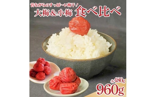 天野農園の梅干 大梅 小梅 セット 箱入り 各480g 《 2025年10月中旬 ～ 順次出荷 》 国産 梅 うめぼし 昔ながらの しょっぱい 梅干し ご飯のお供 常温 ギフト 贈答 送料無料 徳島県 吉野川市 
