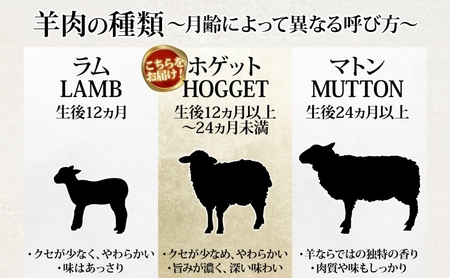 羊肉ビールセット ホゲットステーキ 美深クラフトビール 羊肉ビールセット【羊肉700g ビール3本】