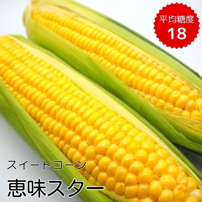 【ふるさと納税】《2026年発送》朝採り とうもろこし スイートコーン「恵味スター」5kg（10～13本） ／ とうもろこし トウモロコシ コーン スイートコーン 恵味スター 5kg 産地直送 産直 送料無料