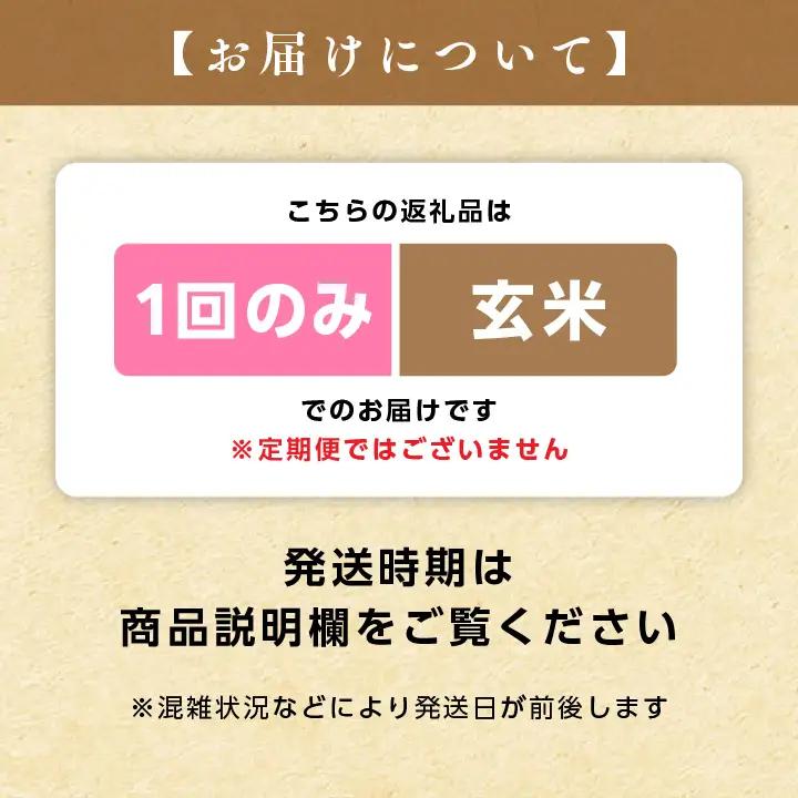 《先行予約》 玄米 令和8年産 こしひかり 15kg 玄米