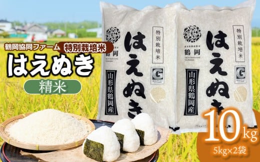 【令和7年産】 特別栽培米はえぬき　精米10kg　(5kg×2袋)　山形県鶴岡産　鶴岡協同ファーム